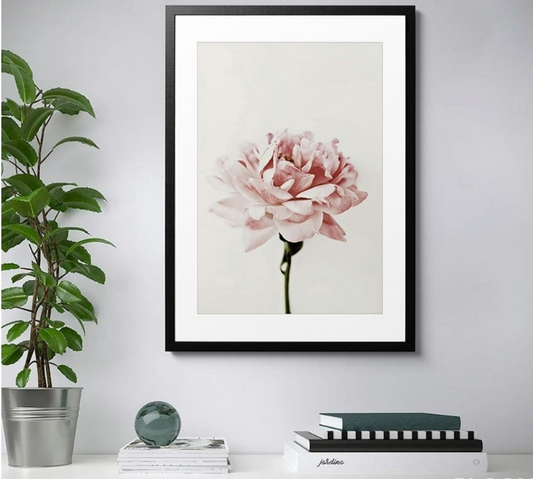 Blushing Peony Bloom Canvas – Elegant Botanical MDF Framed Art