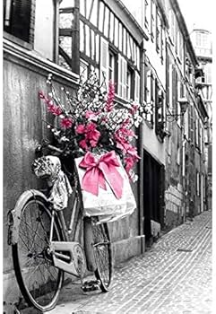 Parisian Streetside Romance Canvas – Selective Color MDF Framed Art