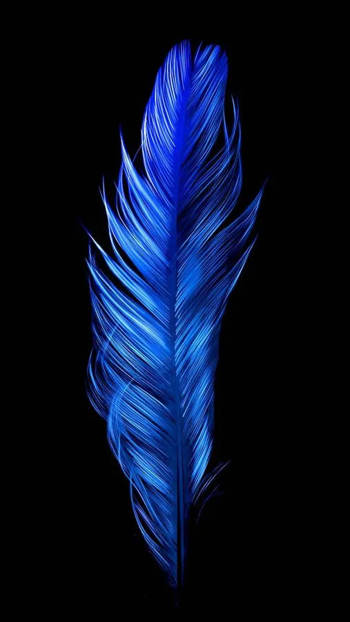 Mystic Plume - Contemporary Illuminated Feather Wall Art